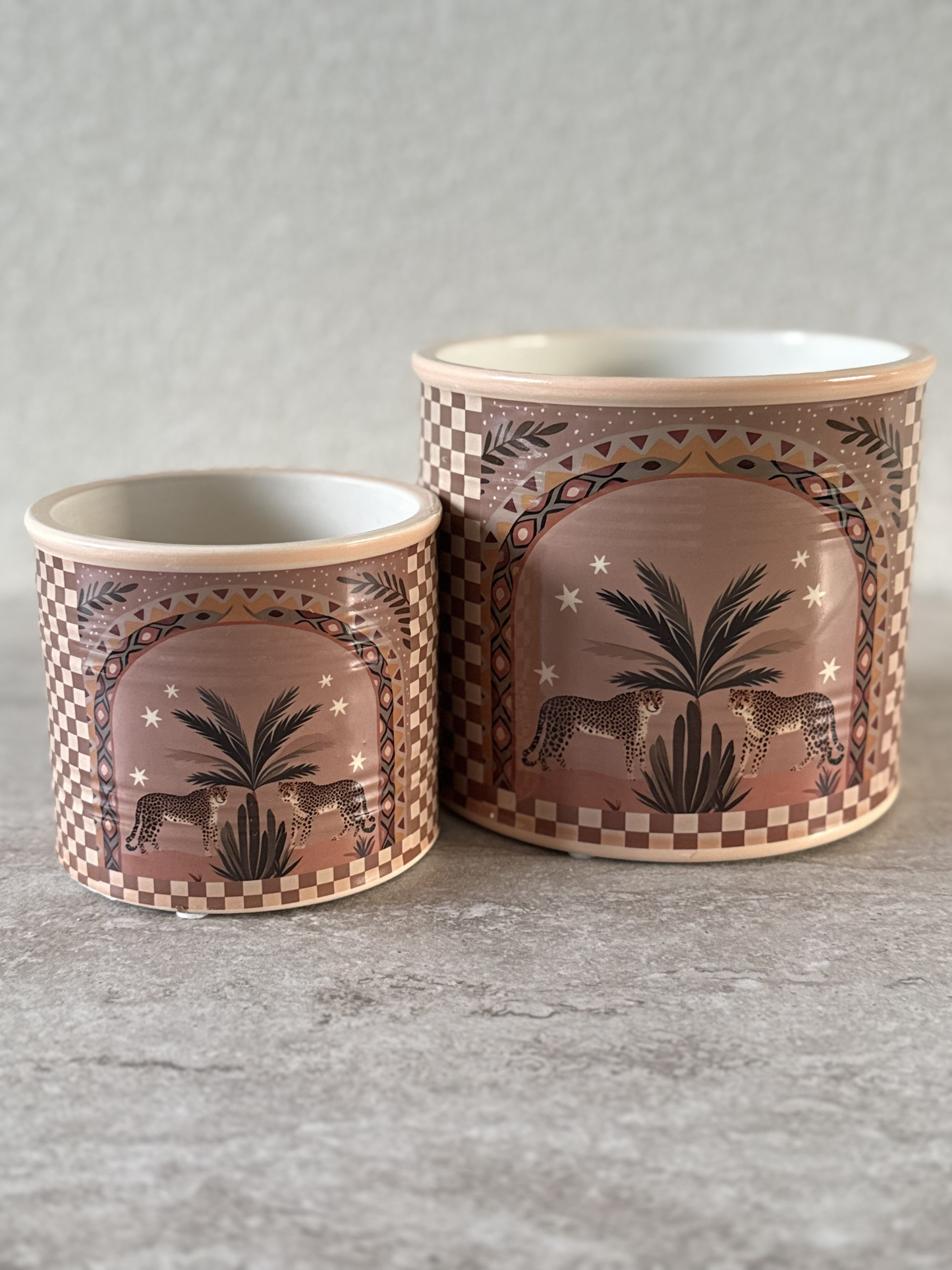 Aardewerk pot palm tijger