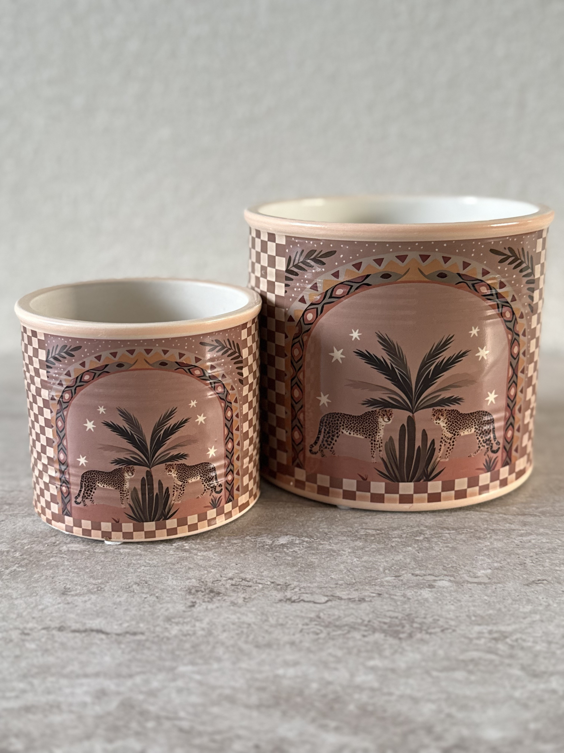 Aardewerk pot palm tijger