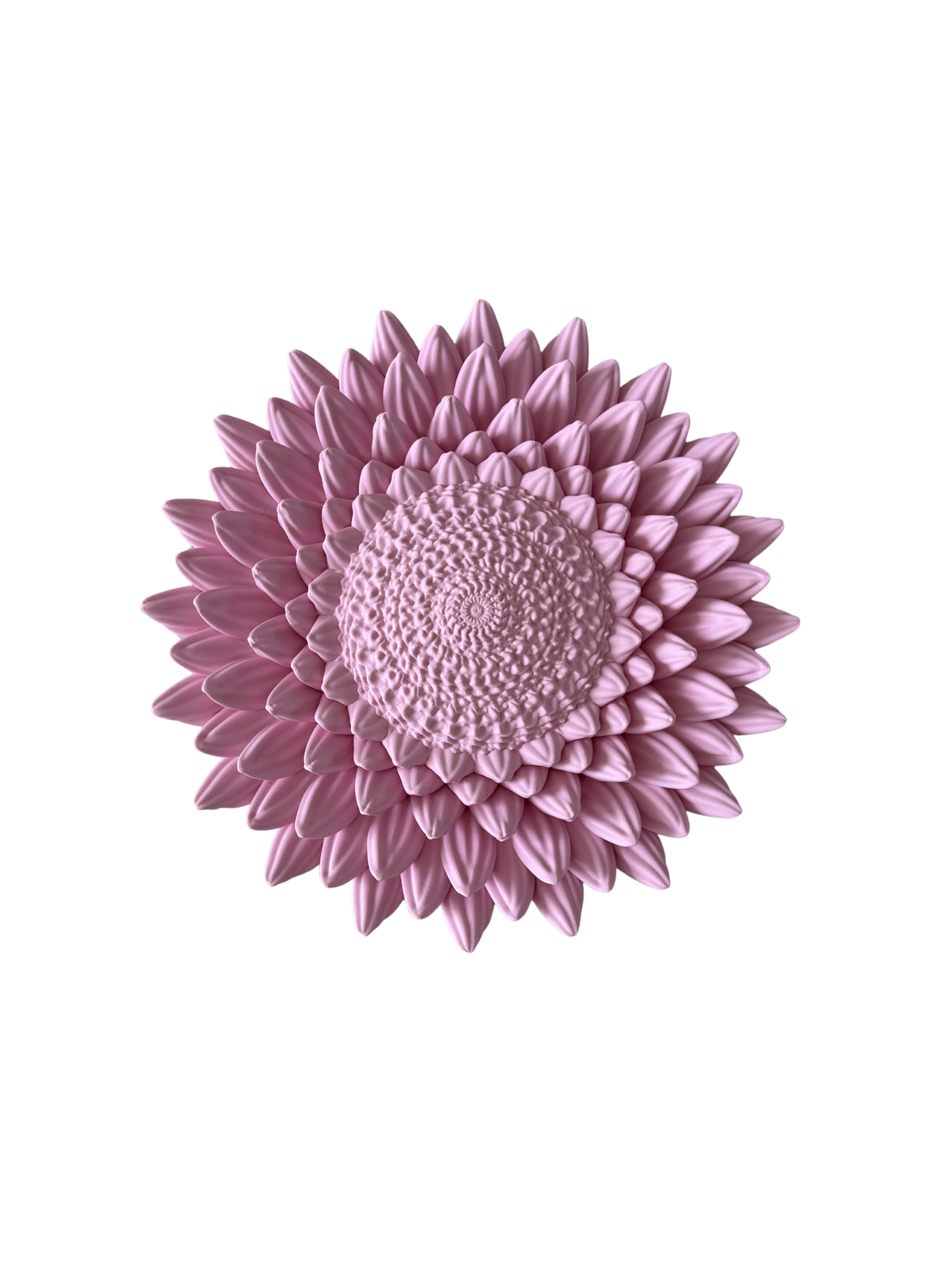 Wandbord Zonnebloem - Roze